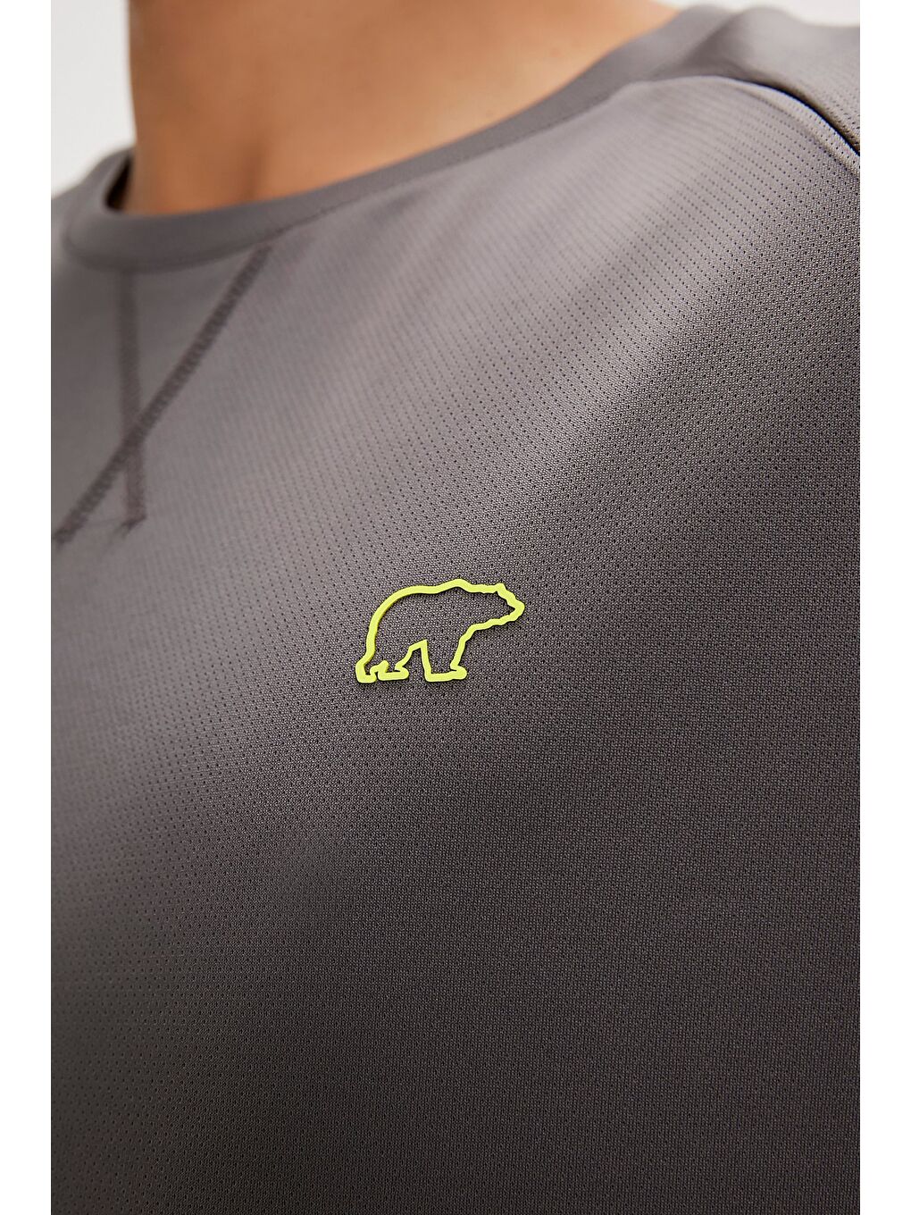 Gri Mike Asfalt Erkek Kolsuz Tişört-1