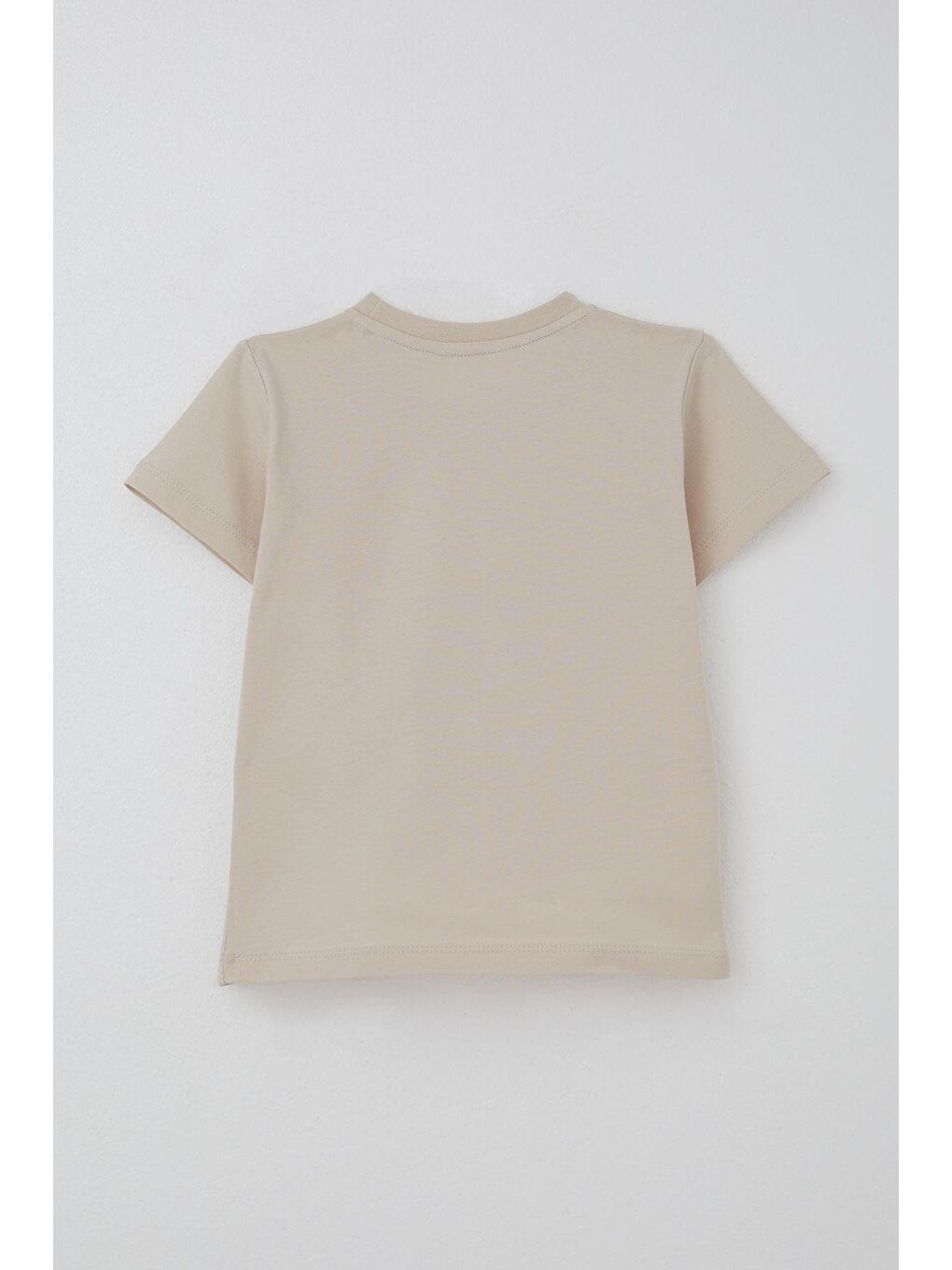 Erkek Çocuk Şortlu Takım Maceracı Dinozor Baskılı Bej (2-3 Yaş)-3