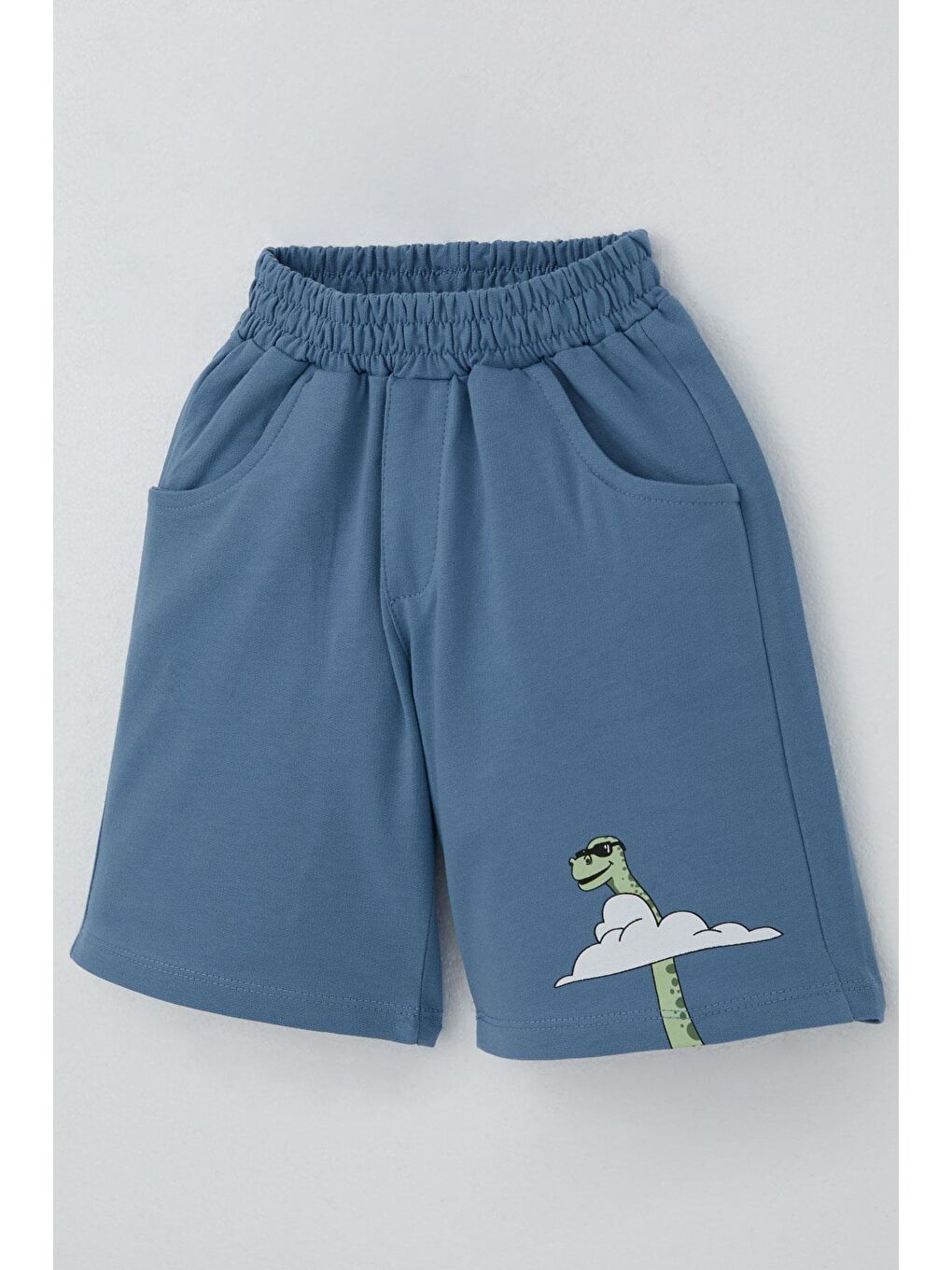 Erkek Çocuk Şortlu Takım Maceracı Dinozor Baskılı Bej (2-3 Yaş)-6