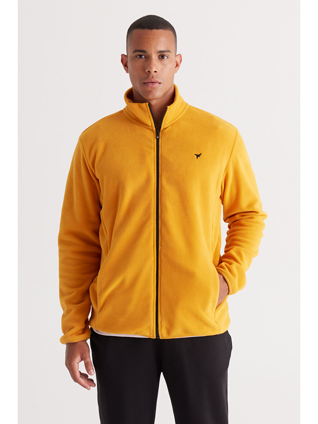 Erkek Sarı Standart Fit Normal Kesim Dik Yaka Polar-4