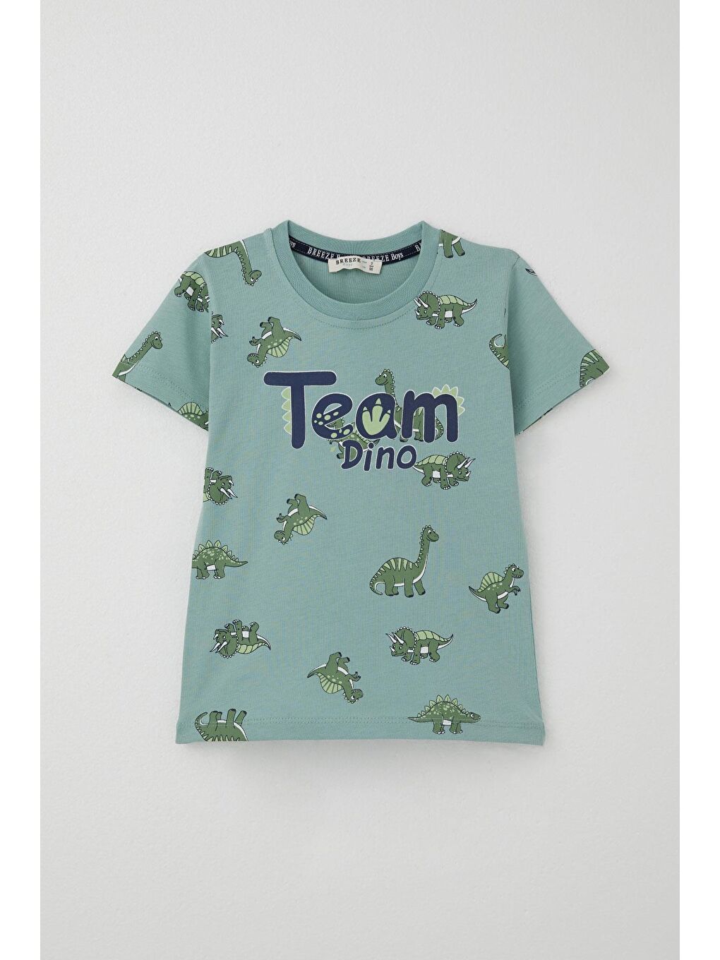 Turkuaz Erkek Çocuk Şortlu Takım Zıp Zıp Dinozor Takımı Su Yeşili (2-6 Yaş)-1