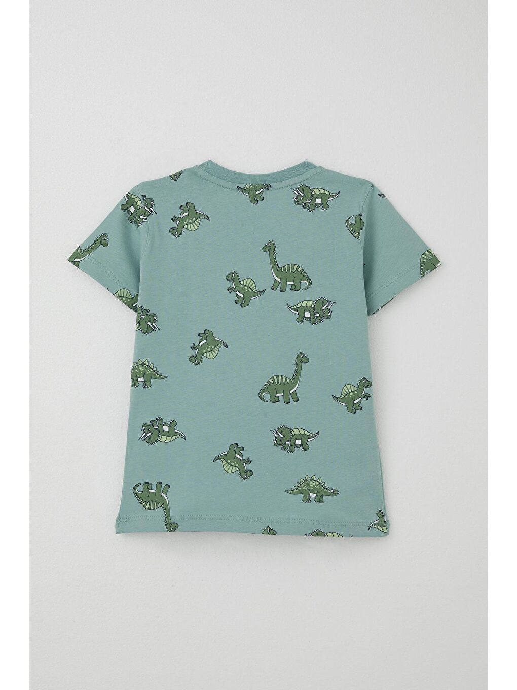 Turkuaz Erkek Çocuk Şortlu Takım Zıp Zıp Dinozor Takımı Su Yeşili (2-6 Yaş)-3