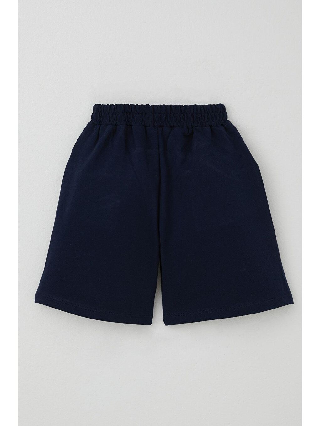 Turkuaz Erkek Çocuk Şortlu Takım Zıp Zıp Dinozor Takımı Su Yeşili (2-6 Yaş)-4