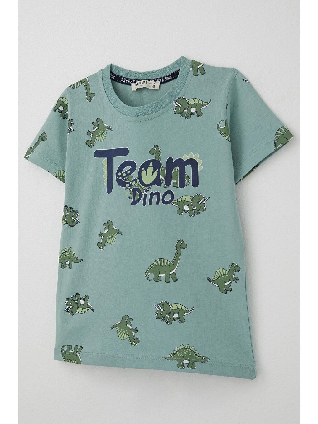 Turkuaz Erkek Çocuk Şortlu Takım Zıp Zıp Dinozor Takımı Su Yeşili (2-6 Yaş)-5