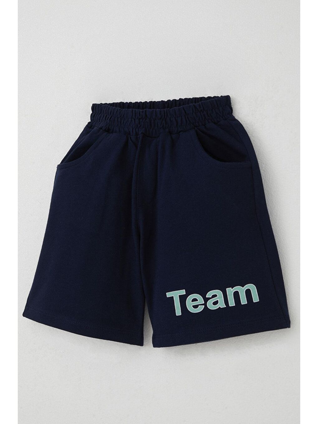 Turkuaz Erkek Çocuk Şortlu Takım Zıp Zıp Dinozor Takımı Su Yeşili (2-6 Yaş)-6