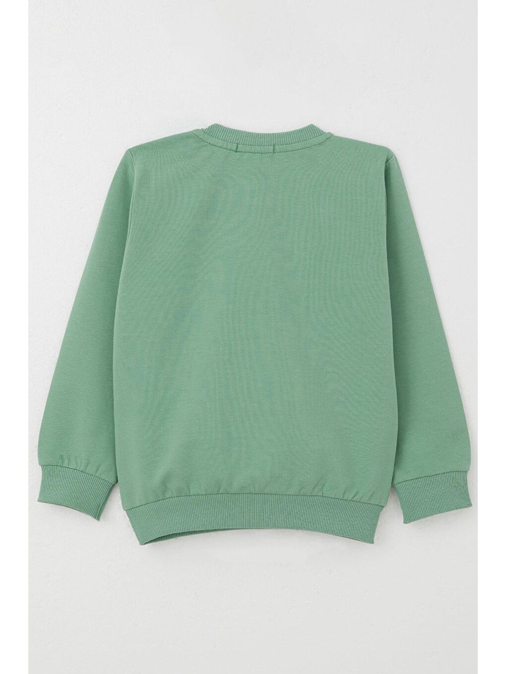 Erkek Çocuk Sweatshirt Çiftliğin Şimşeği Mint Yeşili (1.5-5 Yaş)-1