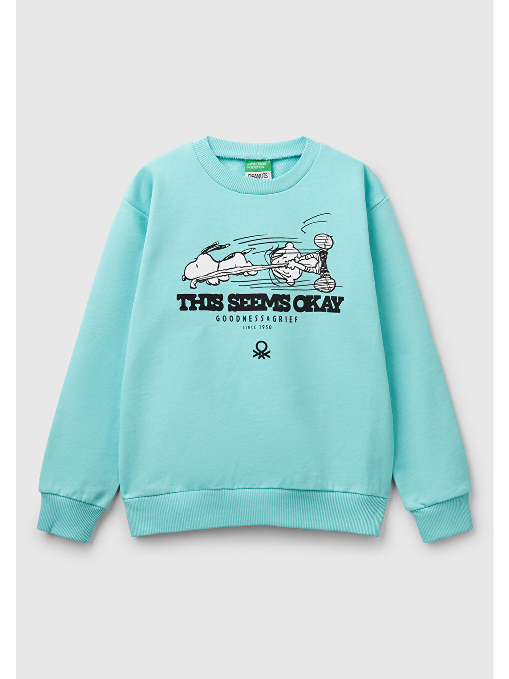 Turkuaz Erkek Çocuk Su Yeşili Peanuts Baskılı Logo Etiketli Bisiklet Yaka Sweatshirt