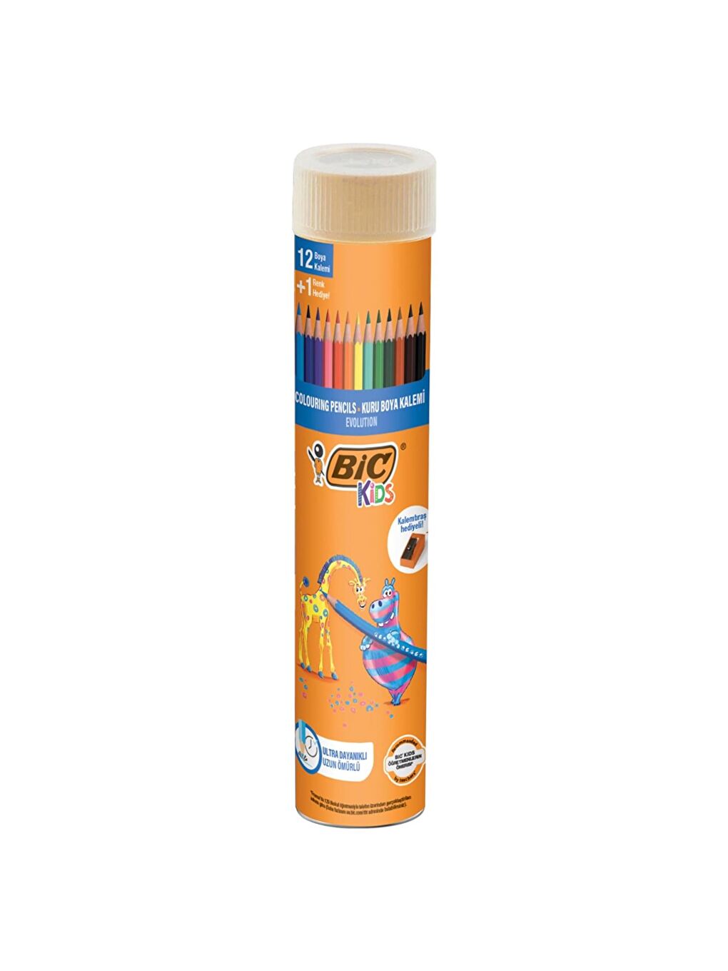 Bic Karışık Asorti Mum Boya Keçeli Boya Metal Tüp Kuru Boya 12 li ve Resim Defteri - 2