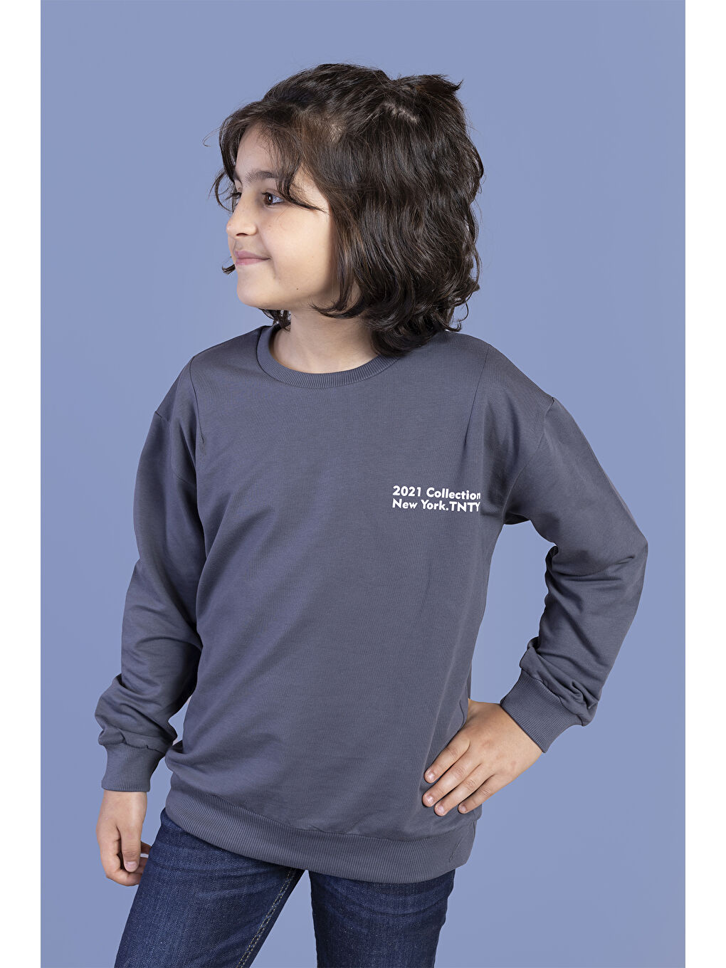 Toontoykids Gri Erkek Çocuk Baskılı Sweatshirt