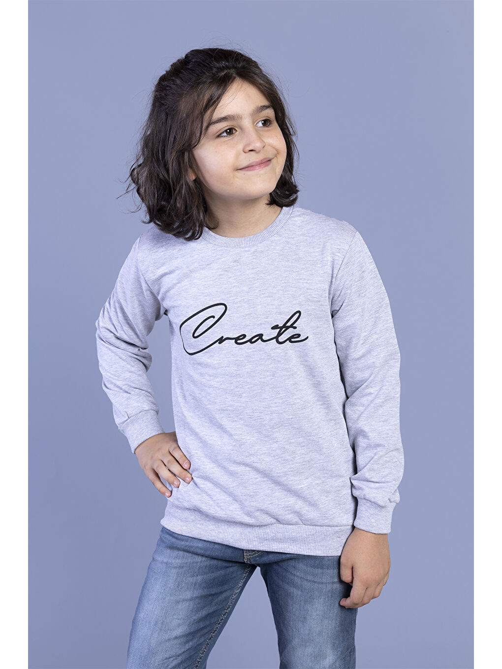 Toontoykids Gri Erkek Çocuk Baskılı Sweatshirt