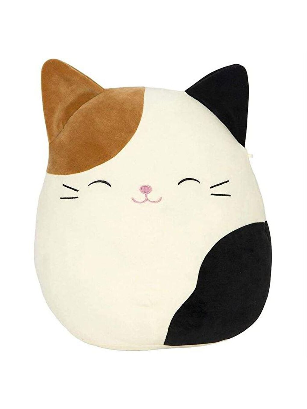 Squishmallows Karışık Kedi Cam 30cm