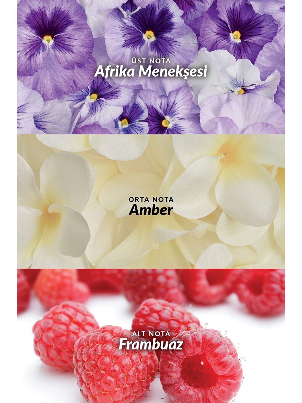 Tomorrow Kadın Parfüm Edp 50 Ml.-3