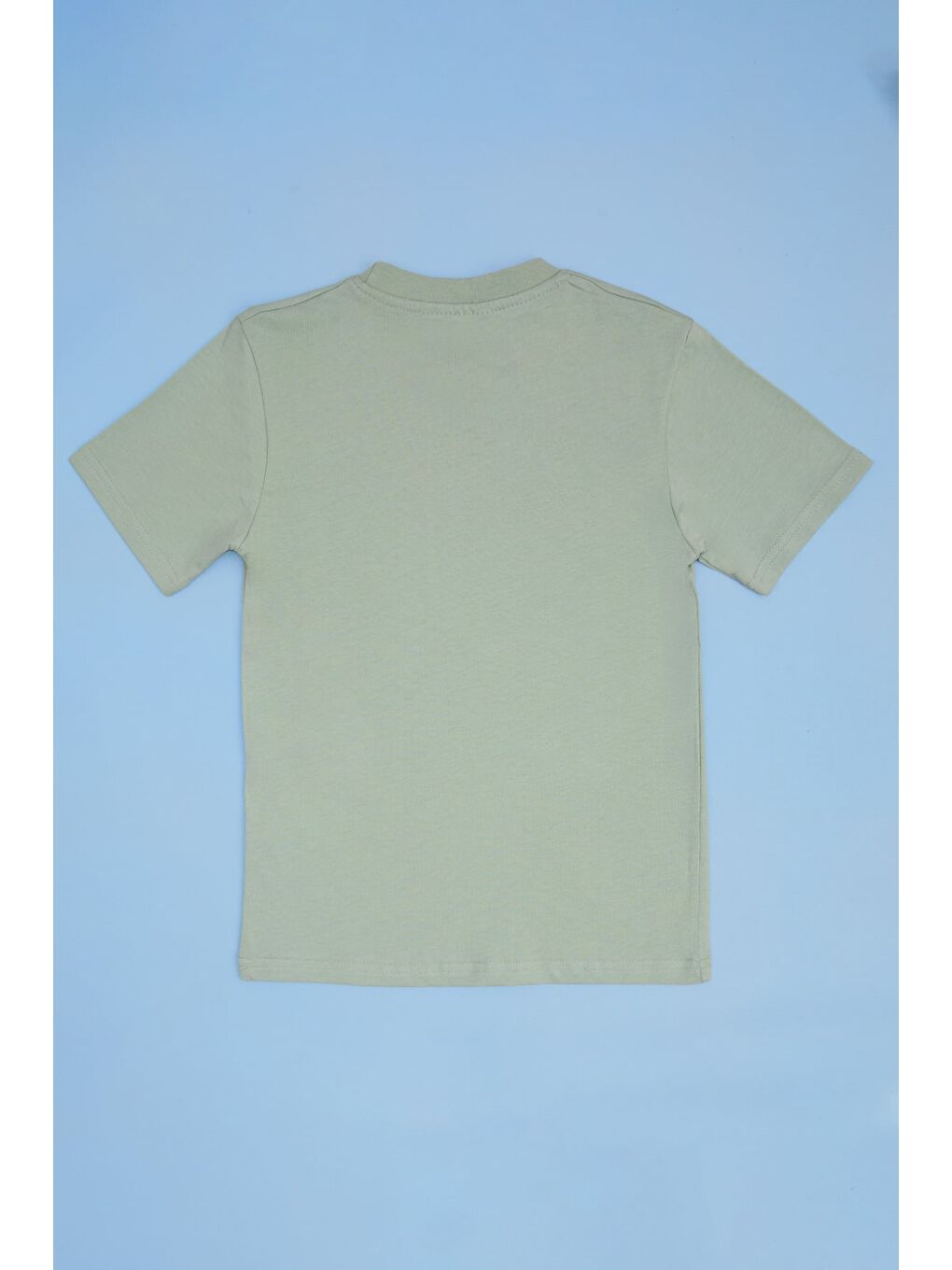 Yeşil Ejderha Baskılı Bisiklet Yaka Erkek Çocuk Tişört-1