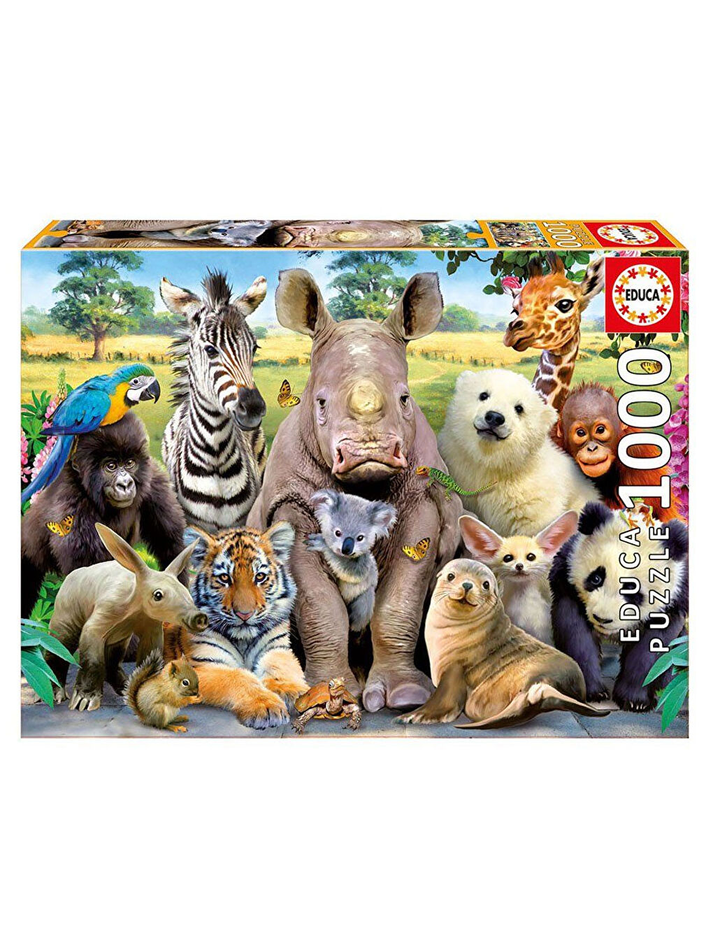 Educa Renksiz Puzzle 1000 Parça Its A Class Photo 15517