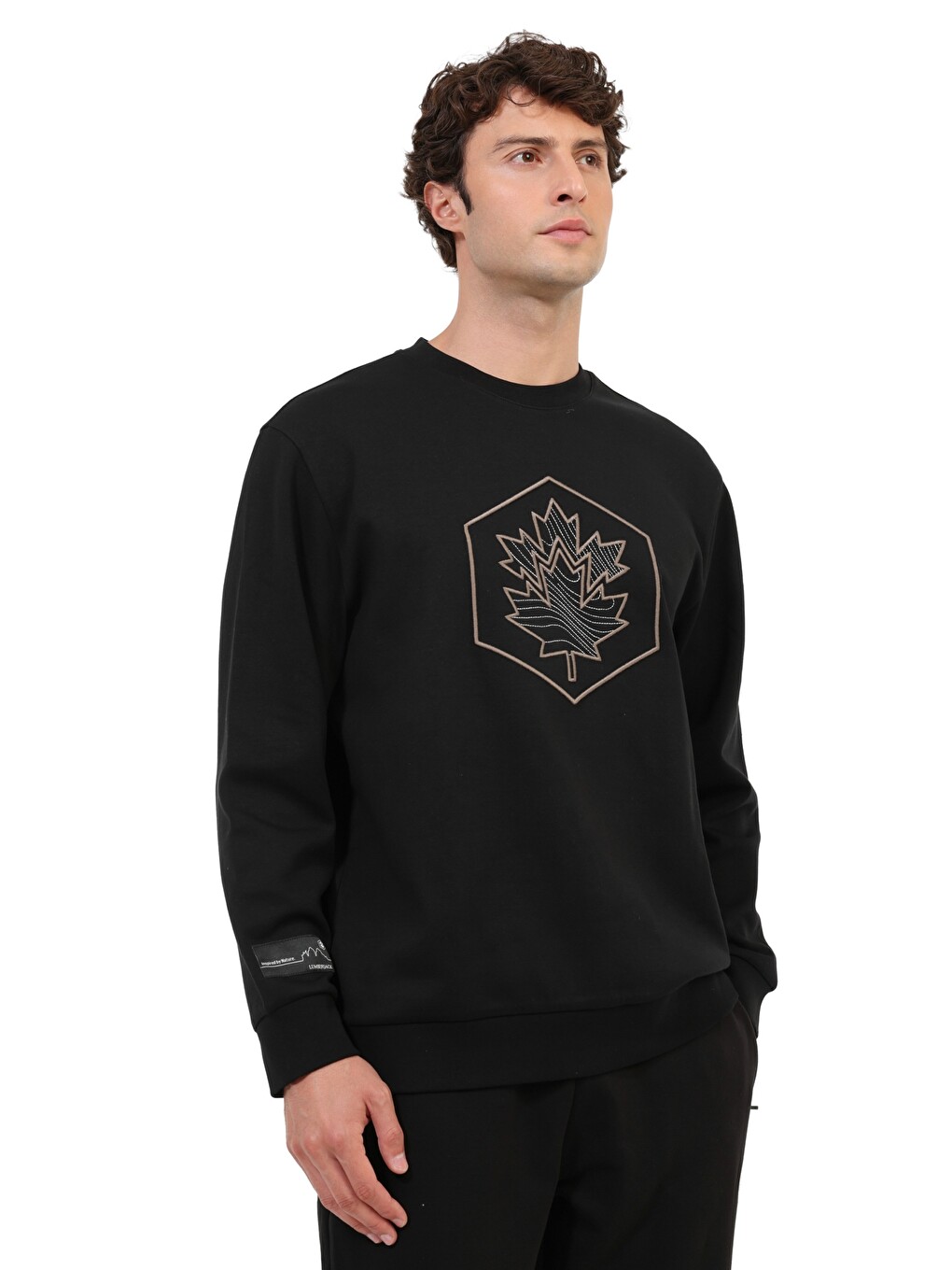 Siyah Sweatshirt Erkek Blackbeauty Ml Arman 16nat26-4-1