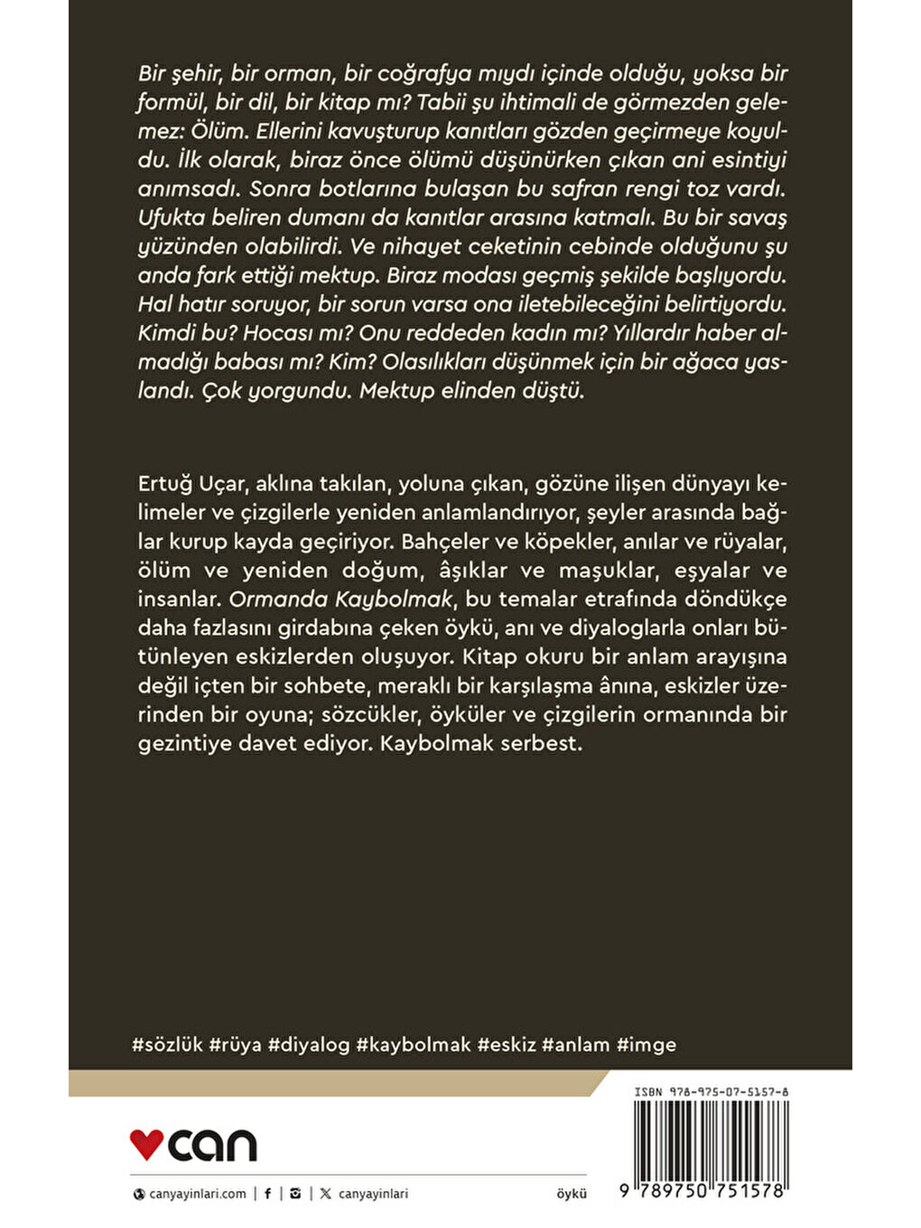 Ormanda Kaybolmak-2