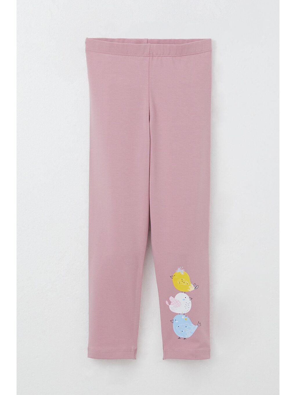 Kız Bebek Taytlı Takım Sevimli Renkli Kuş Baskılı Ekru (1.5-2 Yaş)-2