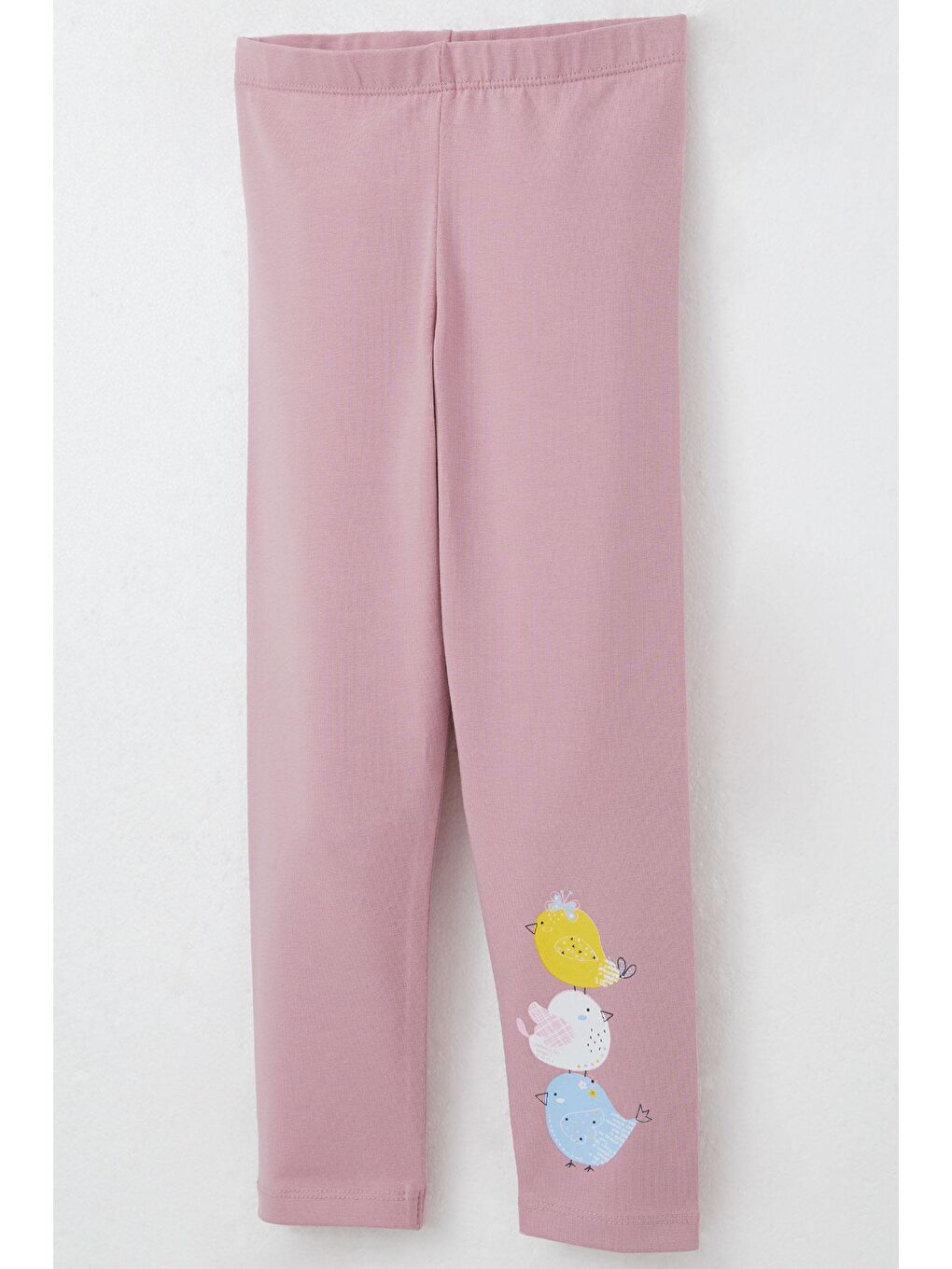 Kız Bebek Taytlı Takım Sevimli Renkli Kuş Baskılı Ekru (1.5-2 Yaş)-6