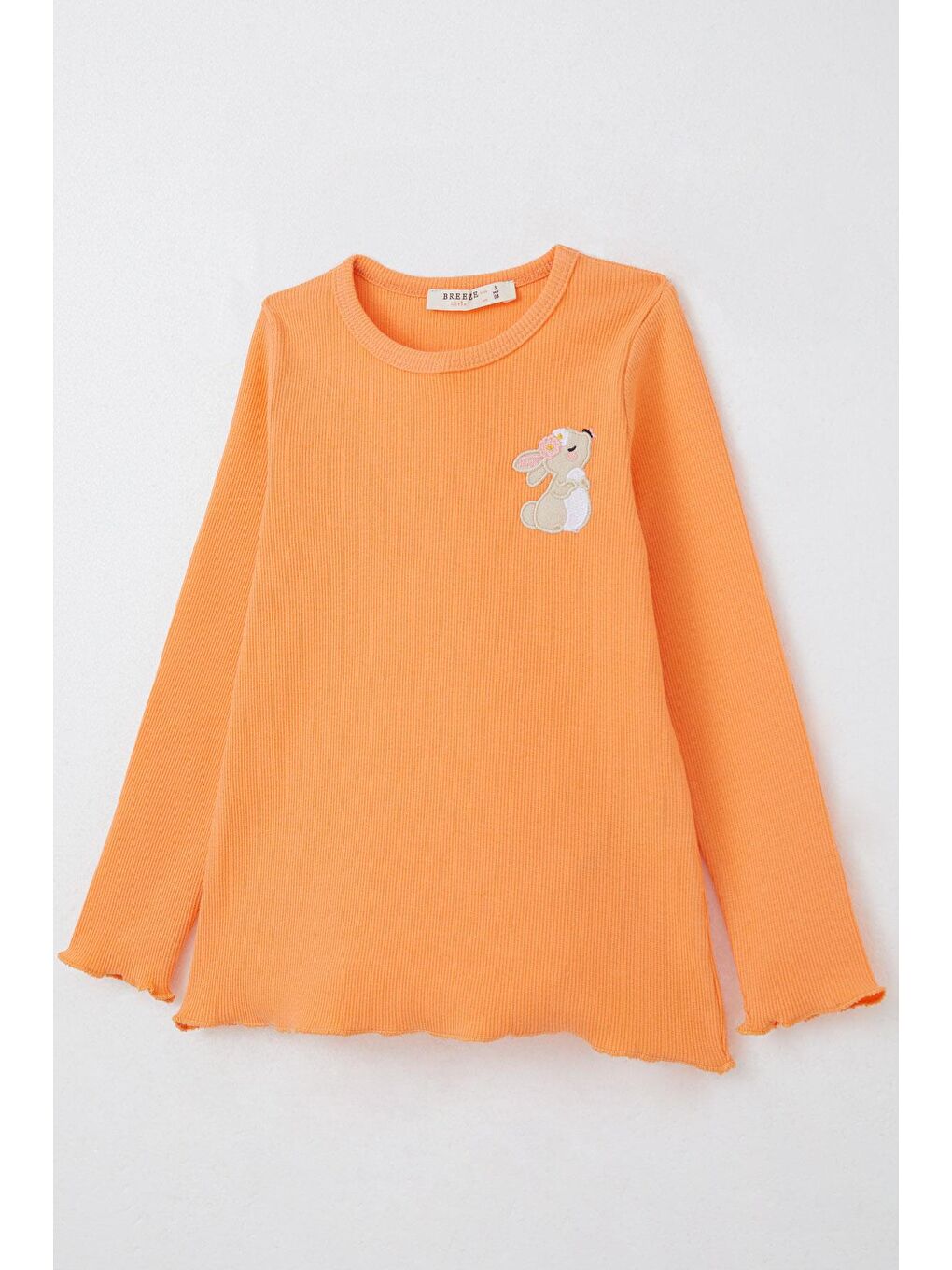 Pembe Kız Çocuk Taytlı Takım Sevimli Tavşancık Nakışlı Somon (3 Yaş)-5