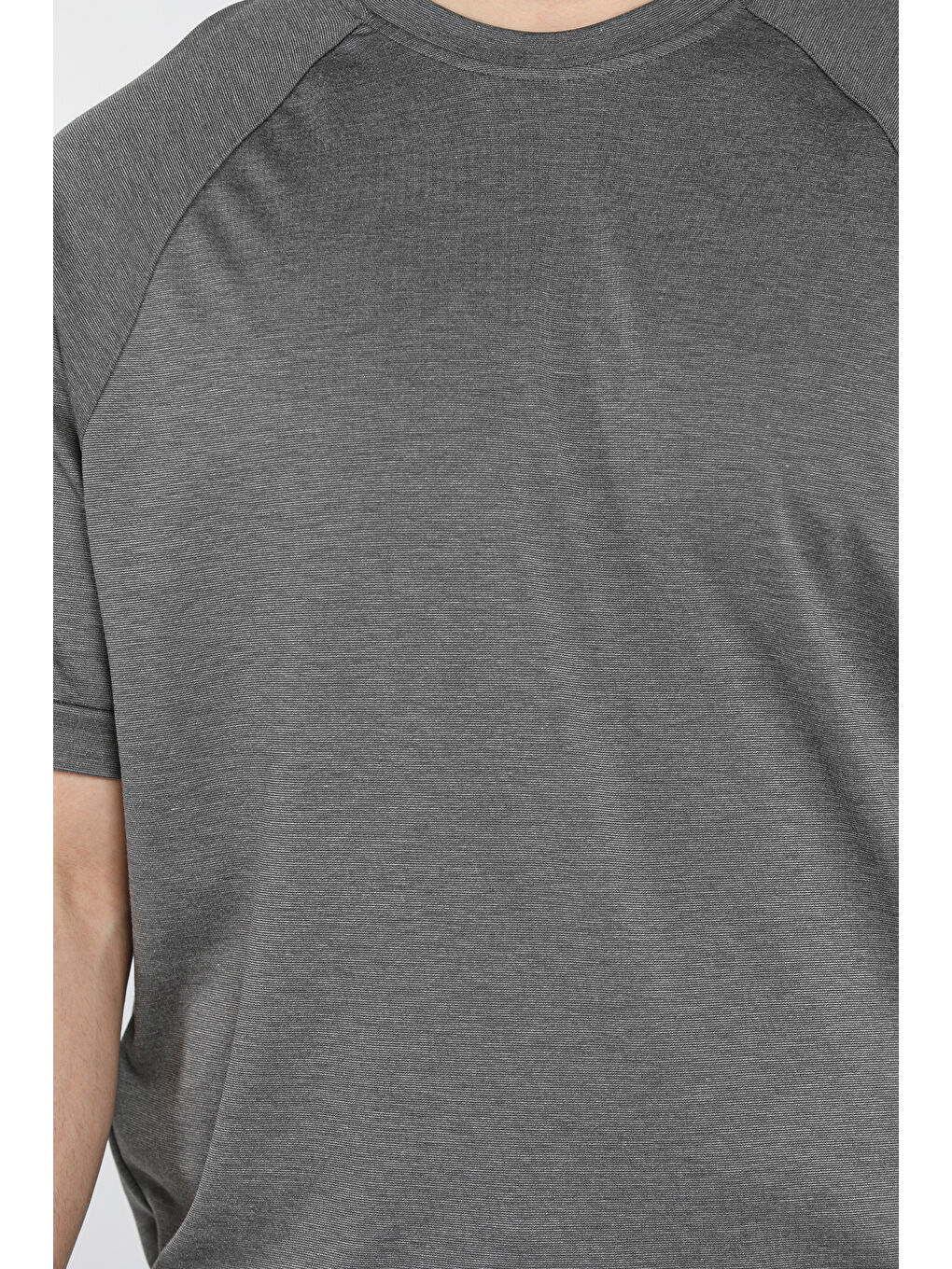 Gri Erkek Bisiklet Yaka Kendinden Desenli Amblem Detaylı Tişört-3