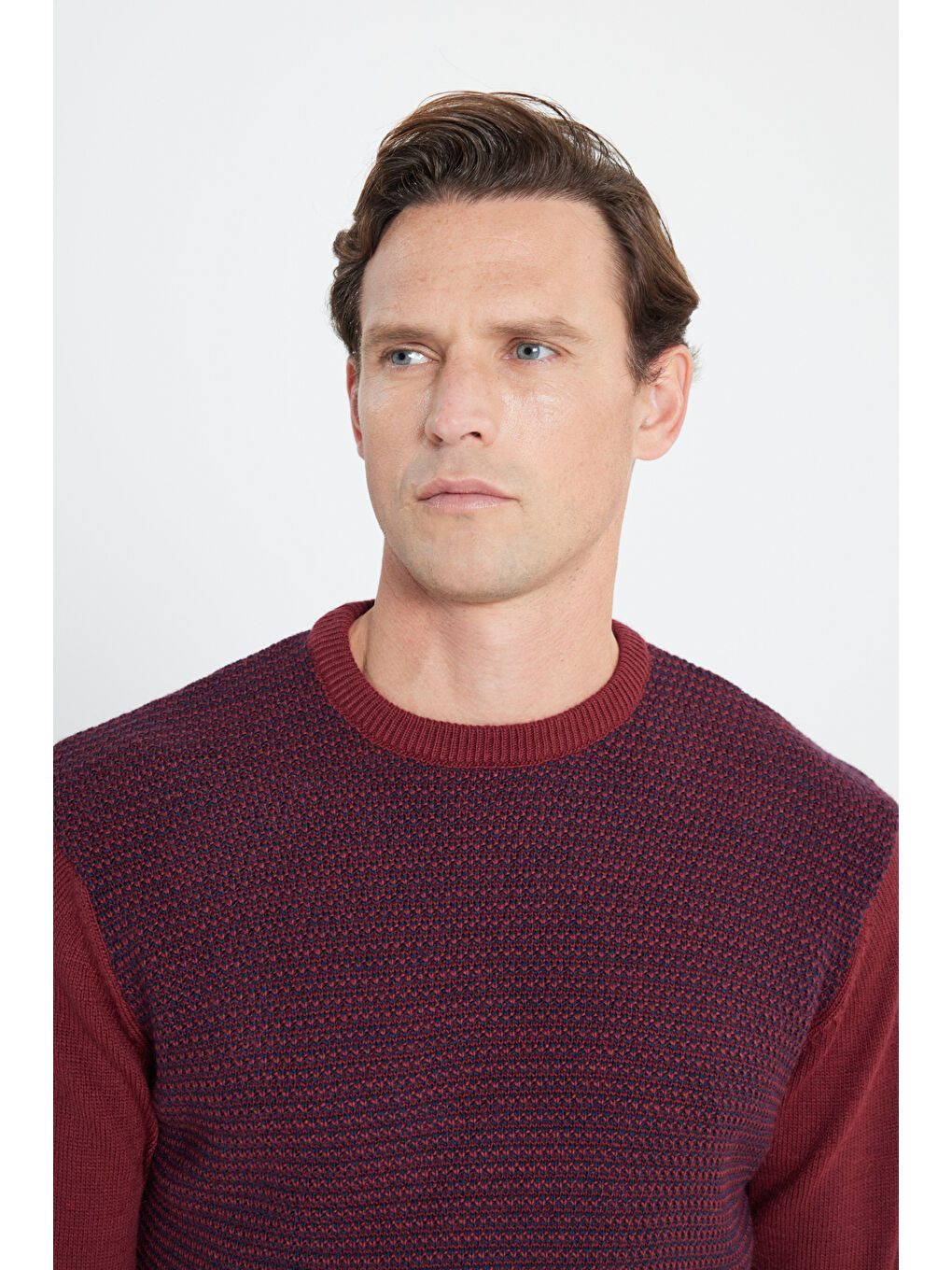 Erkek Bordo-Lacivert Standart Fit Normal Kesim Bisiklet Yaka Petek Desenli Triko-3