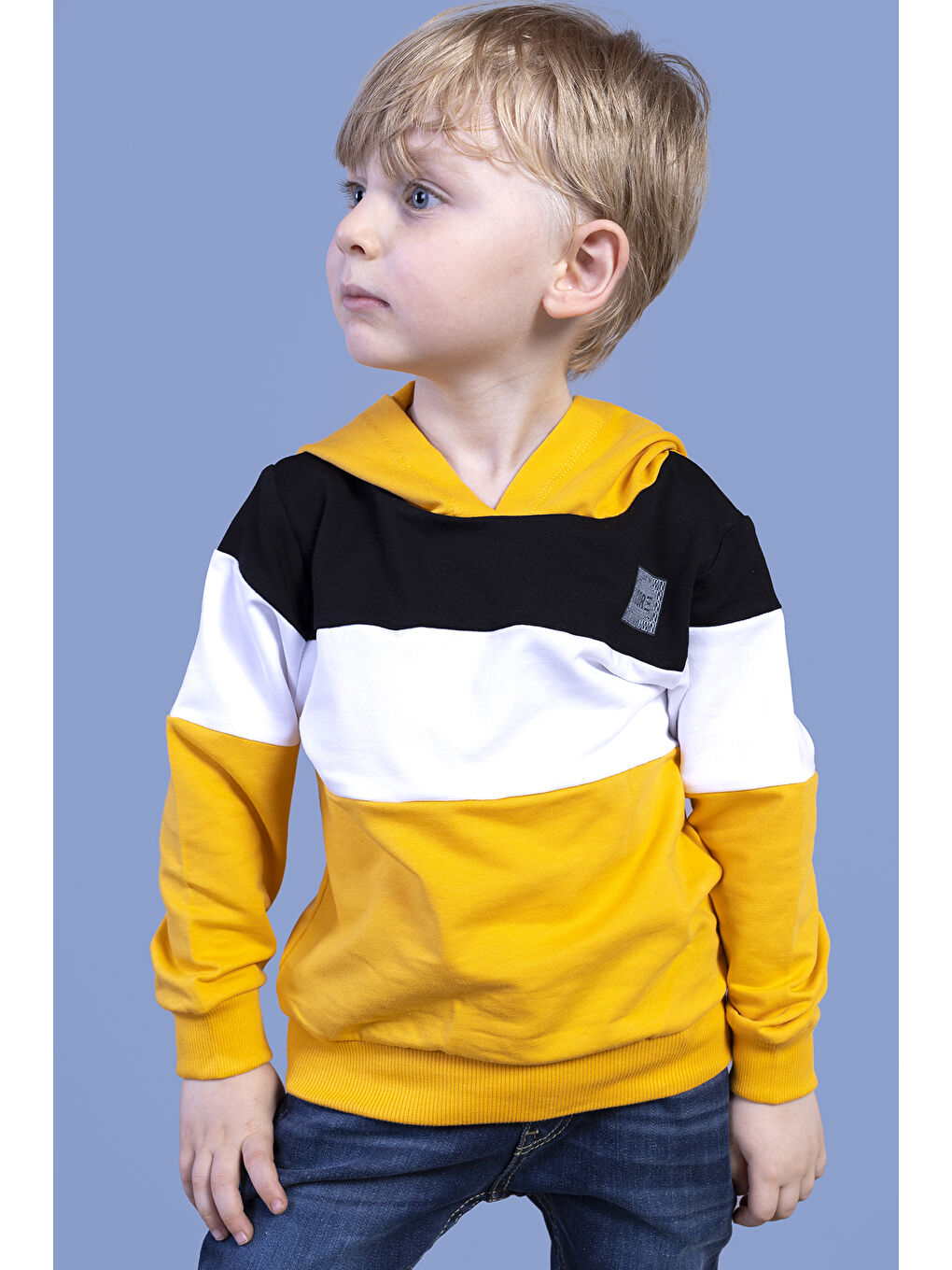 Toontoykids Sarı Erkek Çocuk Kapüşonlu Garni Detaylı Sweatshirt - 2