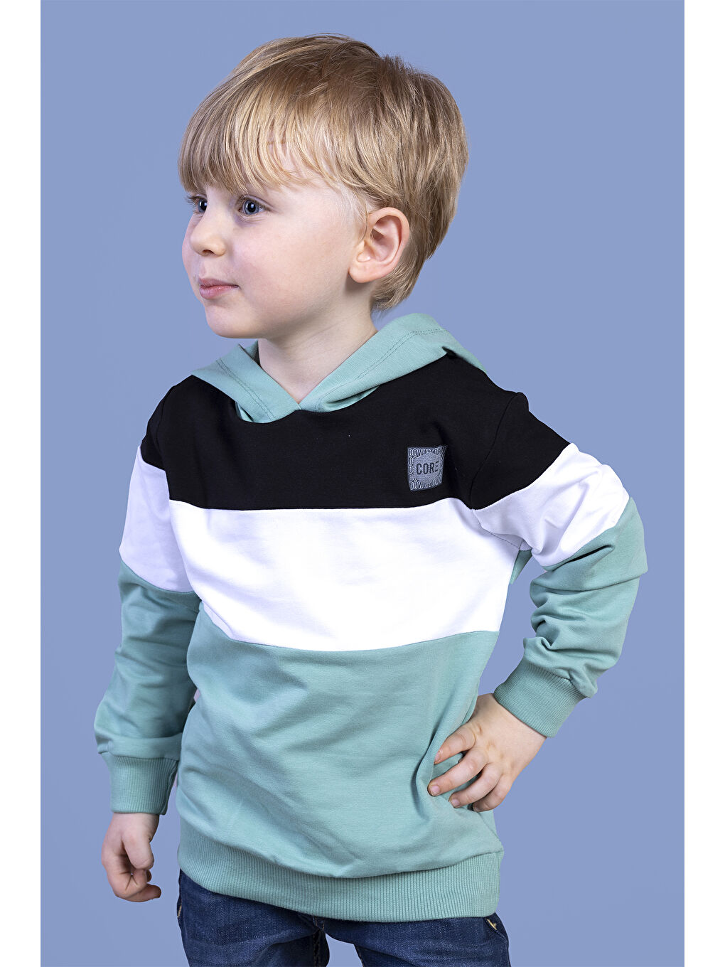 Toontoykids Yeşil Erkek Çocuk Kapüşonlu Garni Detaylı Sweatshirt