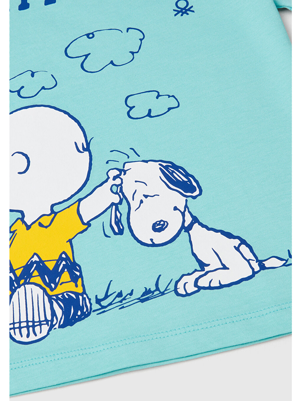 Turkuaz Erkek Çocuk Su Yeşili Peanuts Baskılı Tişört-2