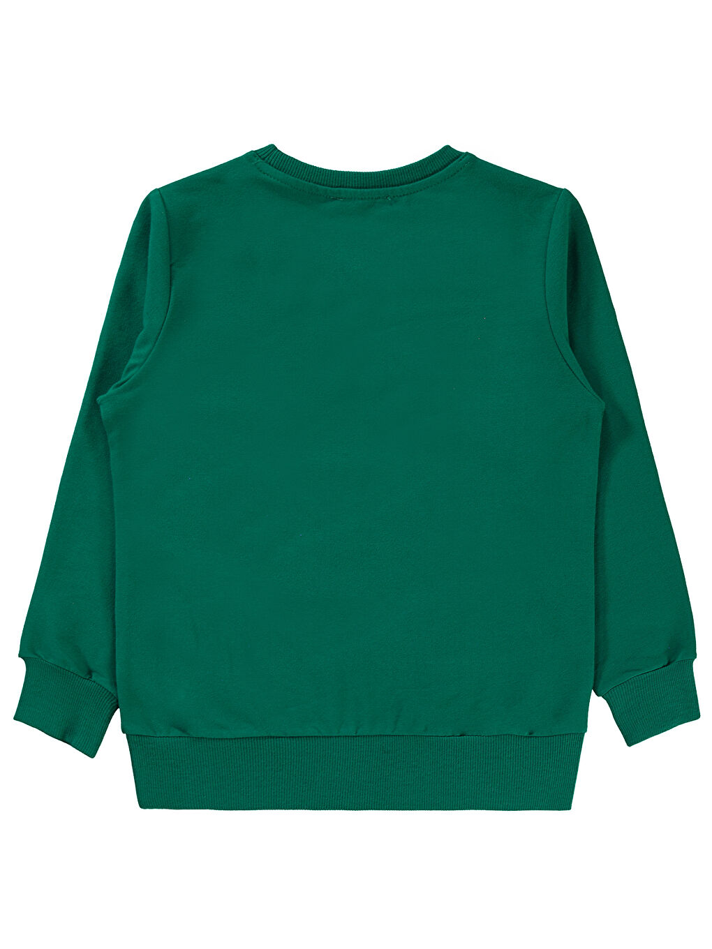 Civil Yeşil Erkek Çocuk Sweatshirt 2-5 Yaş Çam Yeşili - 1