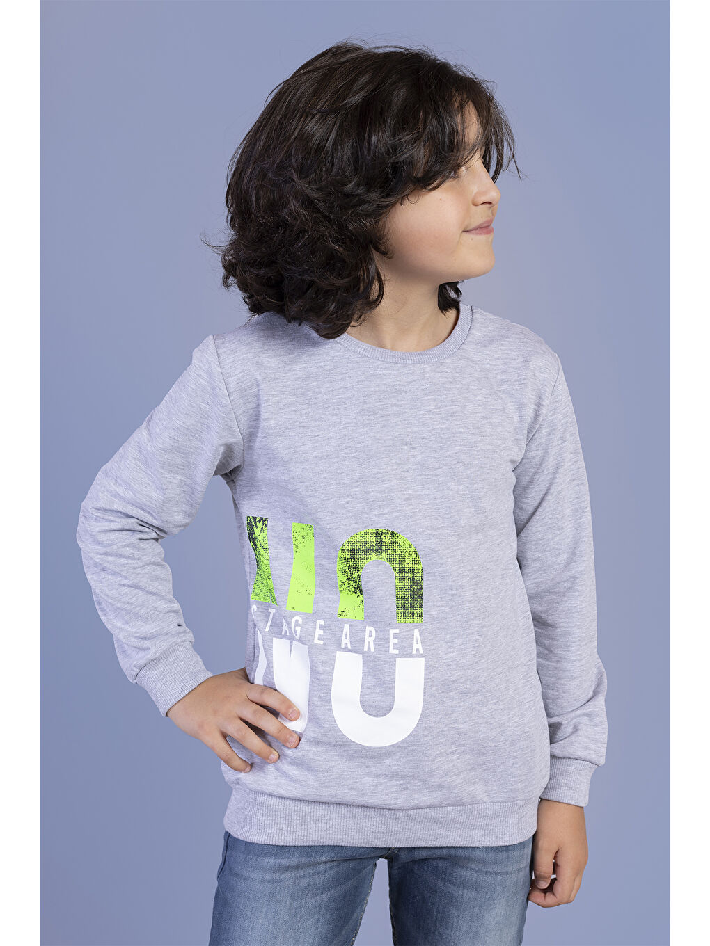 Toontoykids Gri Erkek Çocuk  Baskılı Sweatshirt