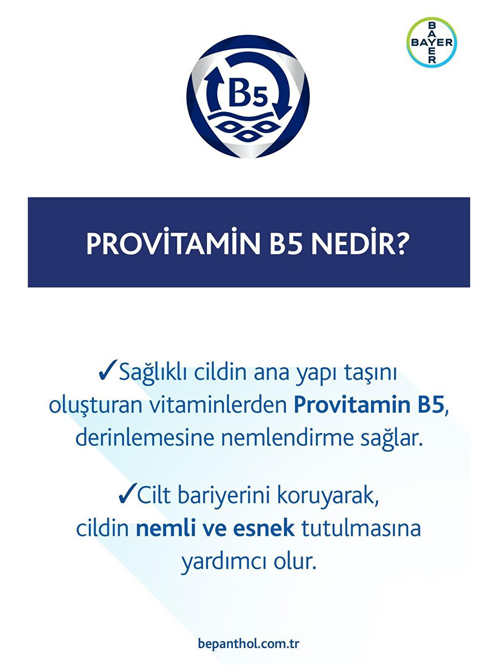 Bepanthol Şeffaf Onarıcı Bakım Merhemi 50 gr 2li Paket l Çok Kuru Ciltler ve Tahrişe Yatkın Bölgeler İçin Bakım - 8