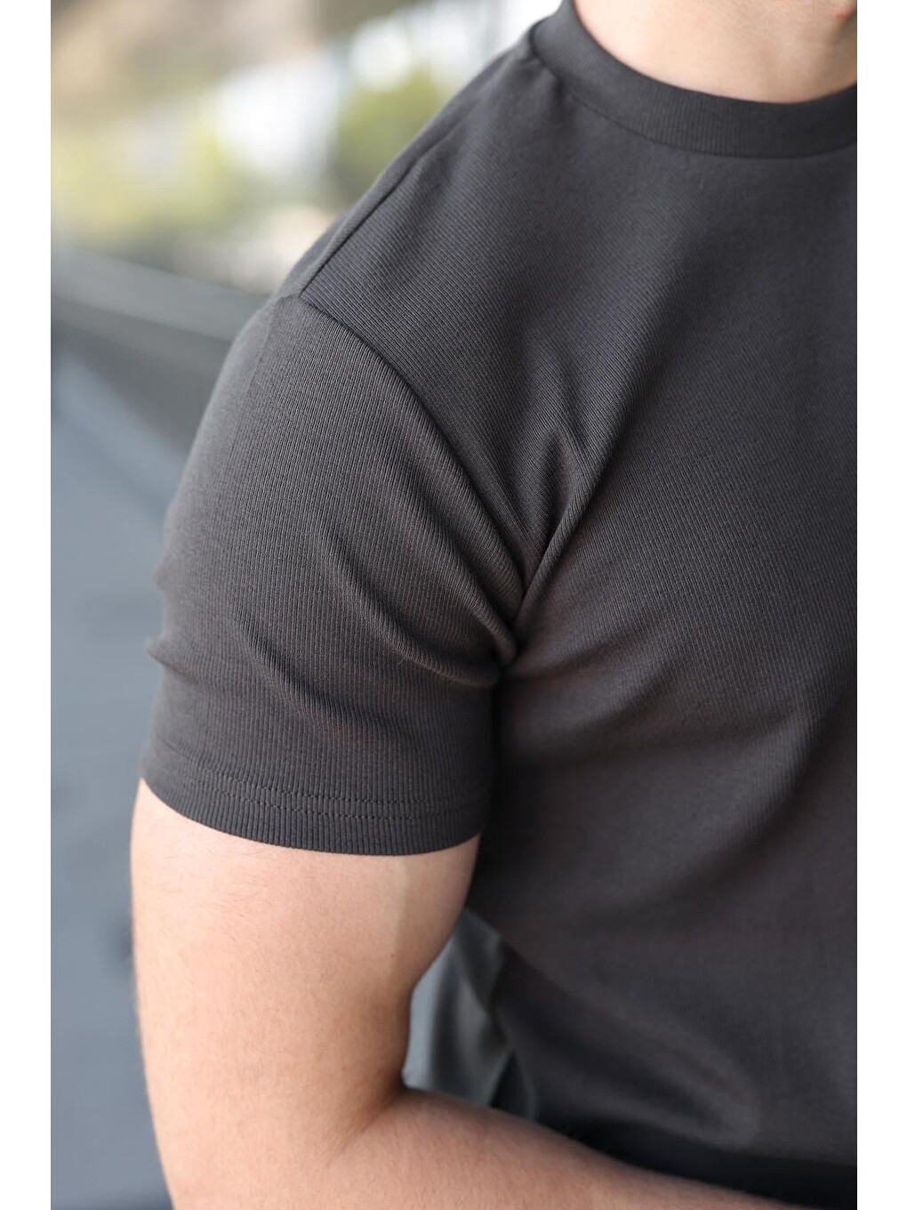 Gri Füme Bisiklet Yaka Regular Fit Erkek Tişört E7188-3