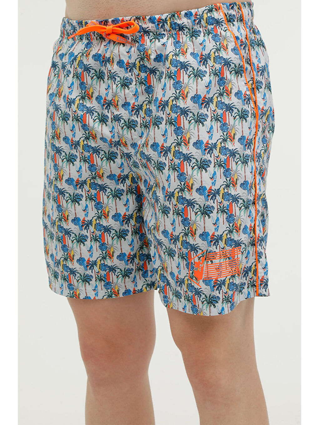 Karışık BEACHWEAR CMD6548-003 Çok Renkli Erkek Deniz Şortu