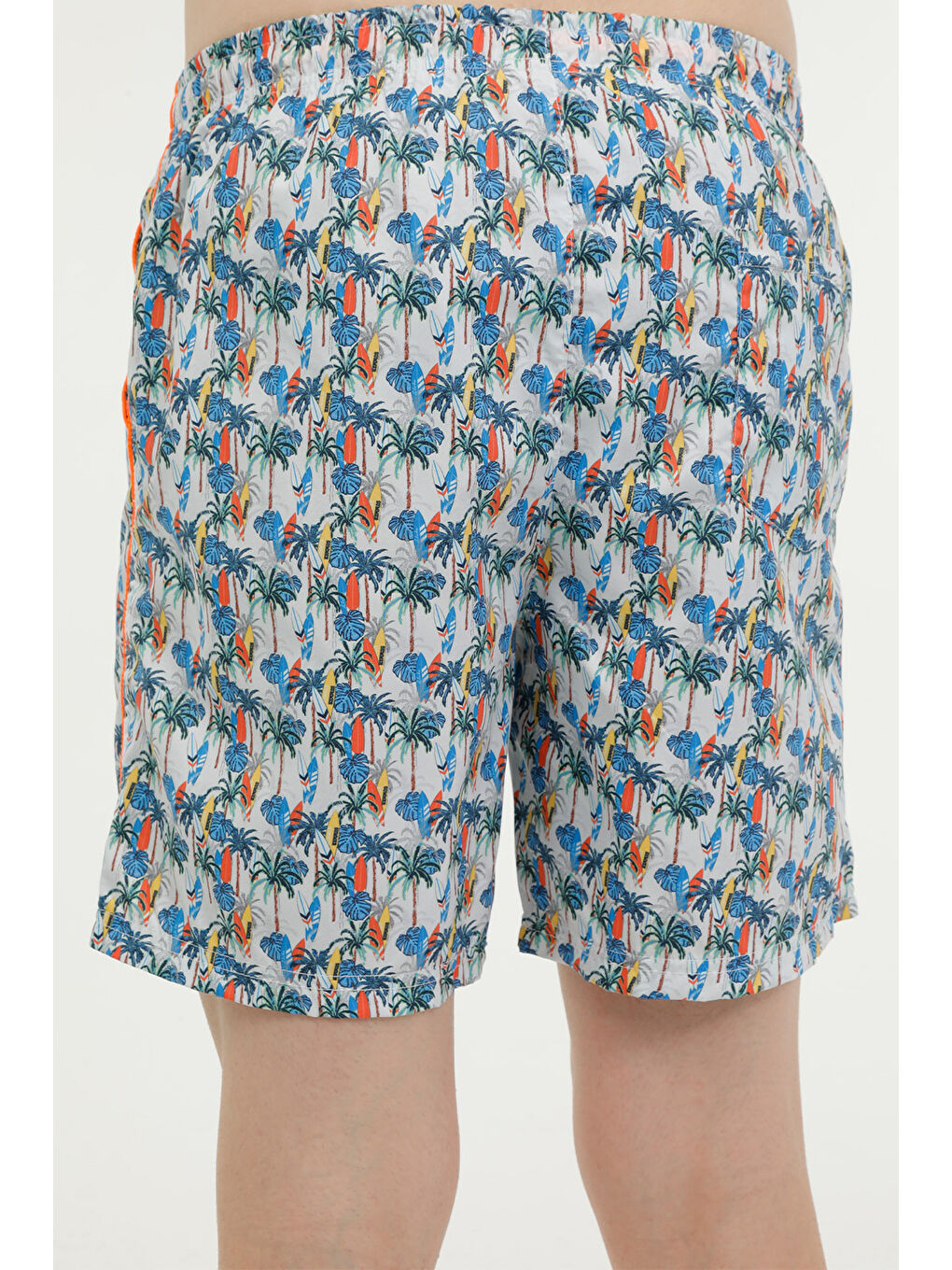 Karışık BEACHWEAR CMD6548-003 Çok Renkli Erkek Deniz Şortu-1