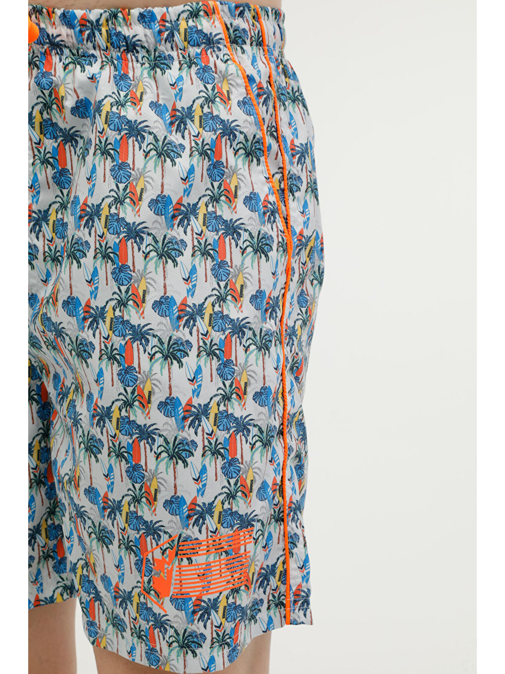 Karışık BEACHWEAR CMD6548-003 Çok Renkli Erkek Deniz Şortu-3