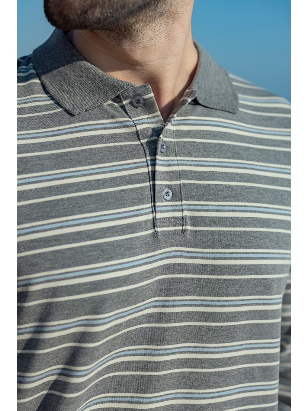 Gri Regular Fit Çizgili Polo Yaka Erkek Tişört E7192-3