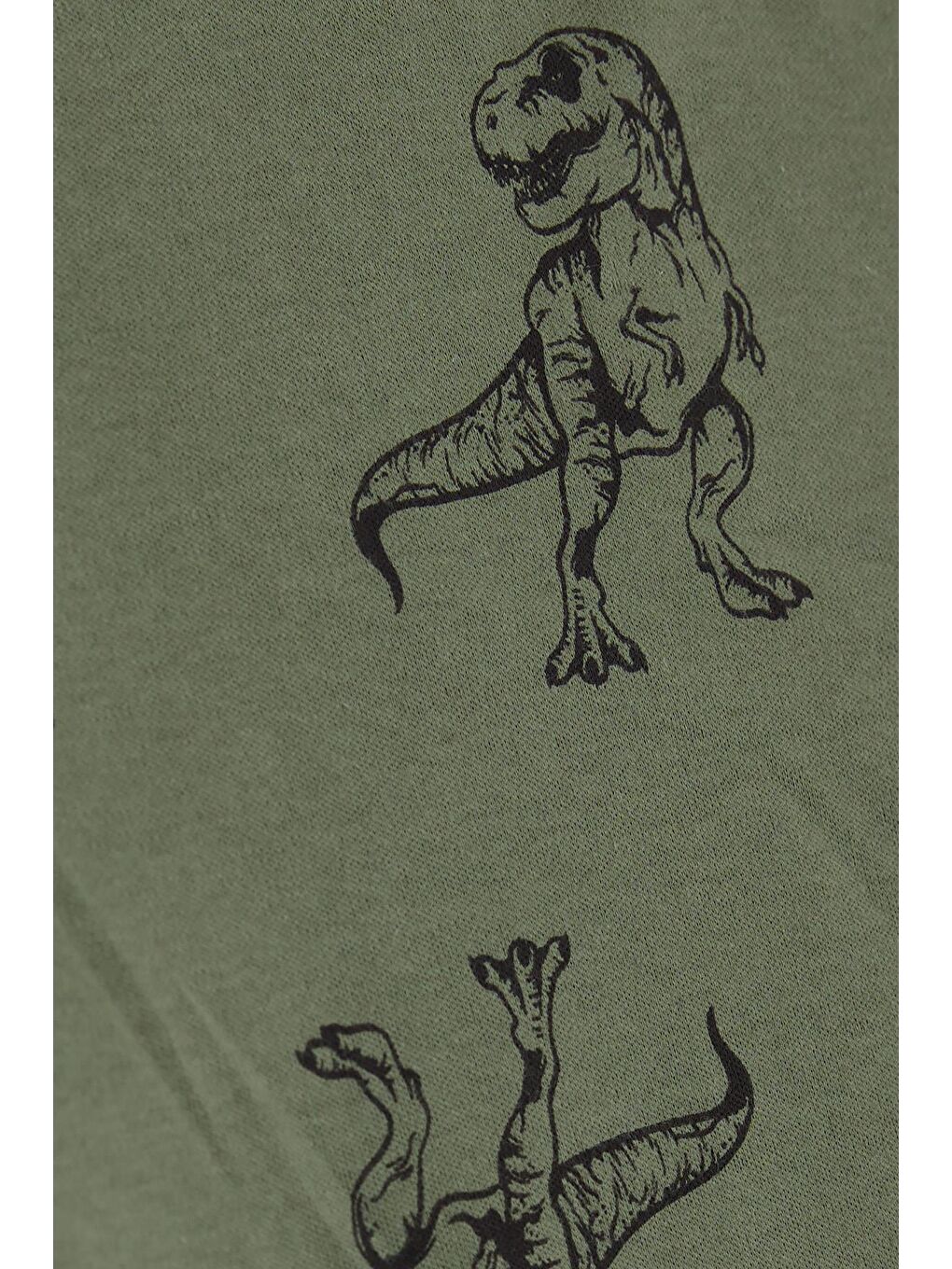 Erkek Çocuk Pijama Takımı Dinozor Desenli Haki Yeşil (4 Yaş)-5