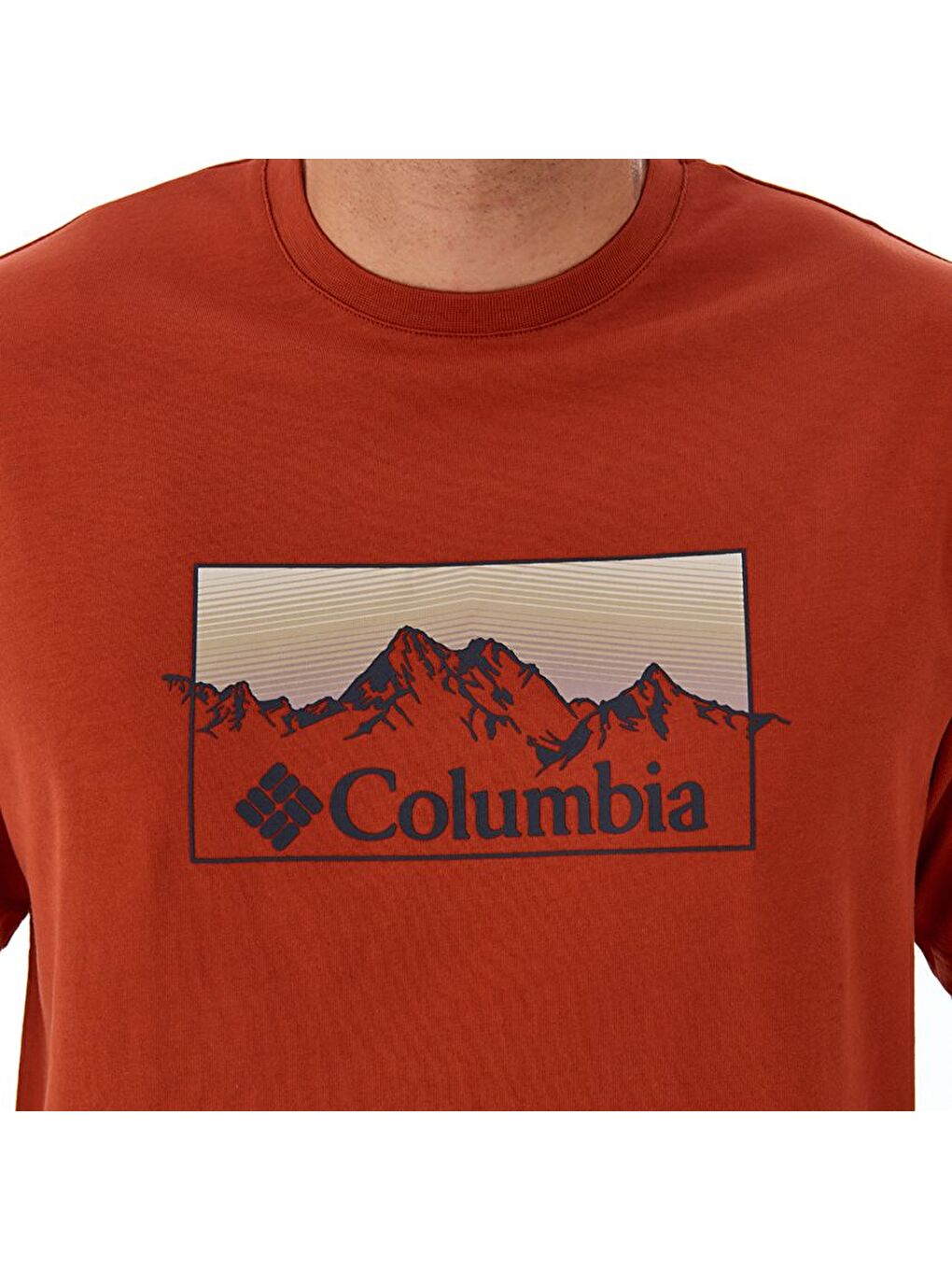 Turuncu CSC Linear Range Erkek Kisa Kollu Tişört CS0344-3