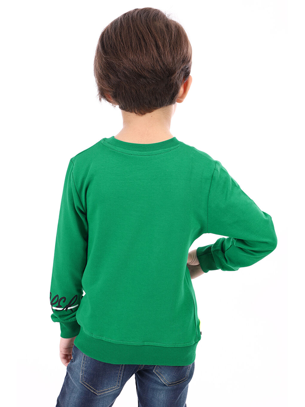 Toontoykids Yeşil Erkek Çocuk Baskılı Sweatshirt - 1