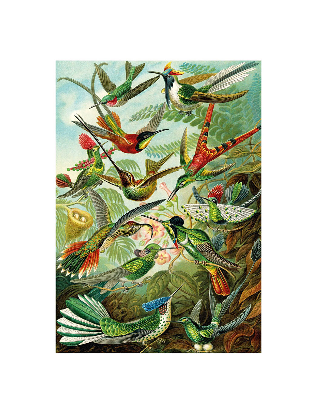 KS GAMES Puzzle 1500 Parça Hummingbirds 22030