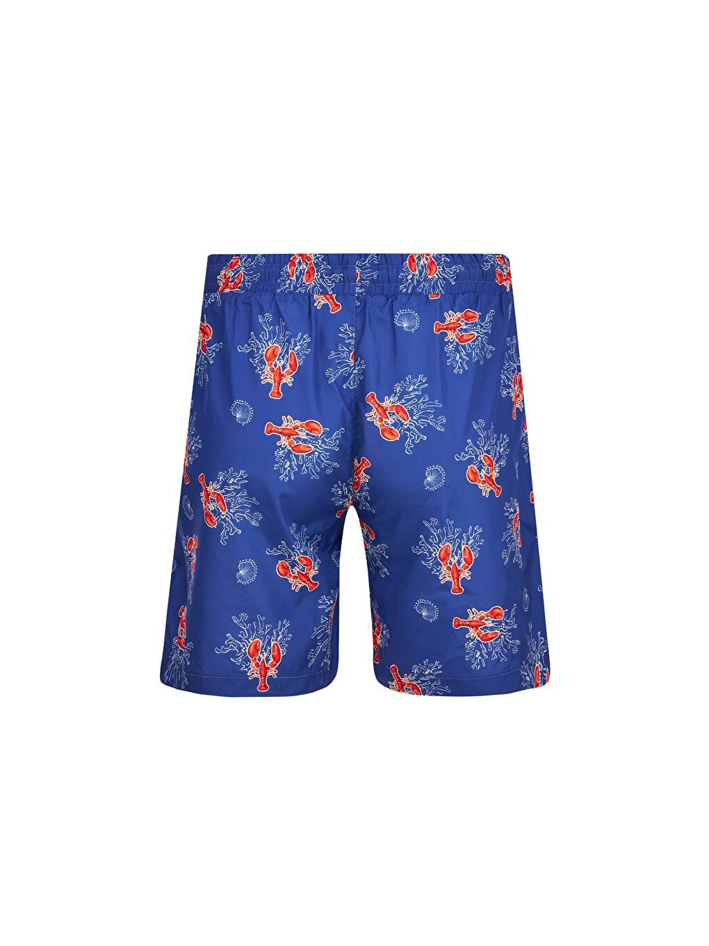 Mavi Erkek Deniz Havuz Şortu Desenli Even S273 Saks-1