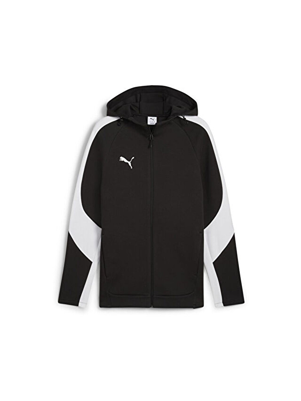 Team Evostripe Hooded Erkek Futbol Kamp Fermuarlı Sweatshirt 65994703 Siyah