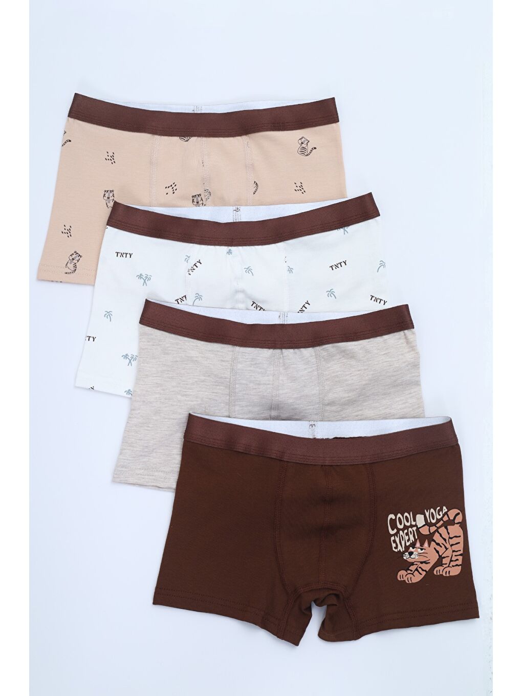 Ekru Erkek Çocuk Çok Desen Baskılı 4lü Paket Boxer