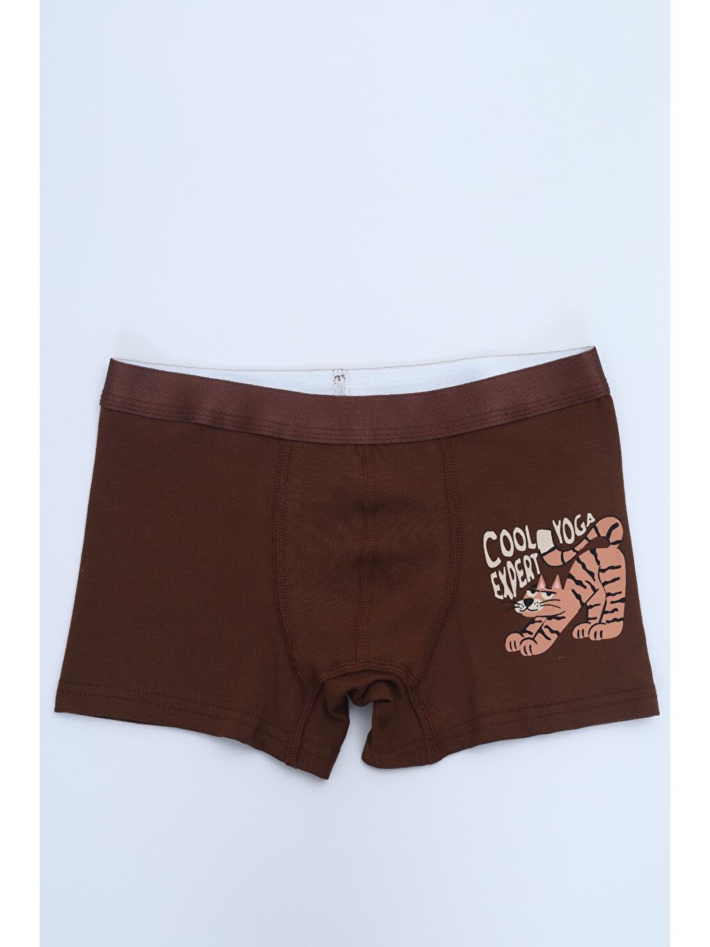 Ekru Erkek Çocuk Çok Desen Baskılı 4lü Paket Boxer-1