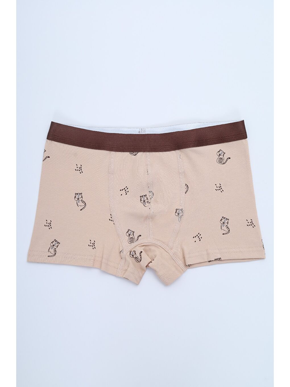 Ekru Erkek Çocuk Çok Desen Baskılı 4lü Paket Boxer-5