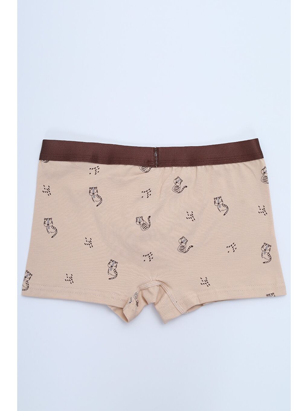 Ekru Erkek Çocuk Çok Desen Baskılı 4lü Paket Boxer-6