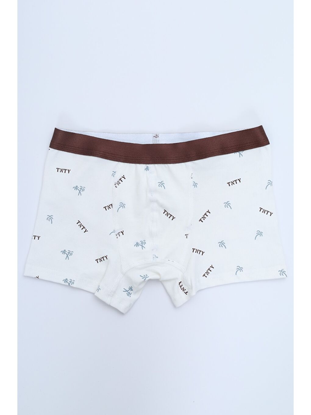 Ekru Erkek Çocuk Çok Desen Baskılı 4lü Paket Boxer-7