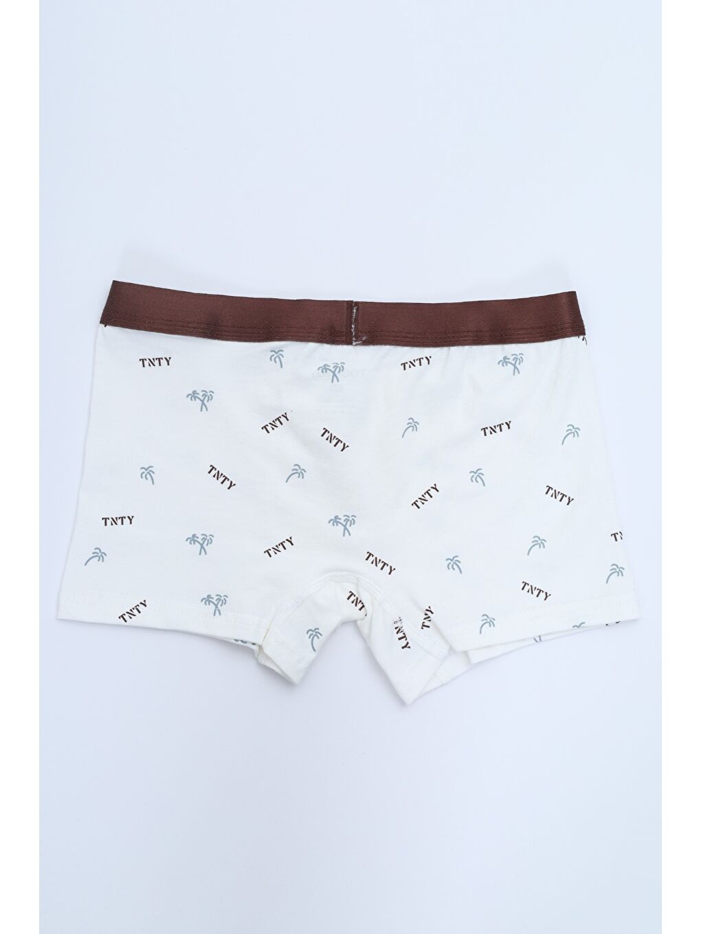 Ekru Erkek Çocuk Çok Desen Baskılı 4lü Paket Boxer-8