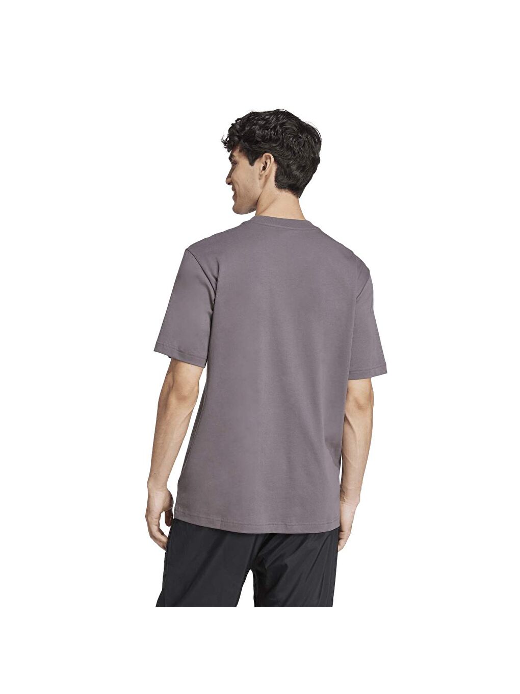 Small Logo Sj Erkek Gri Yuvarlak Yaka Spor Tişört-1