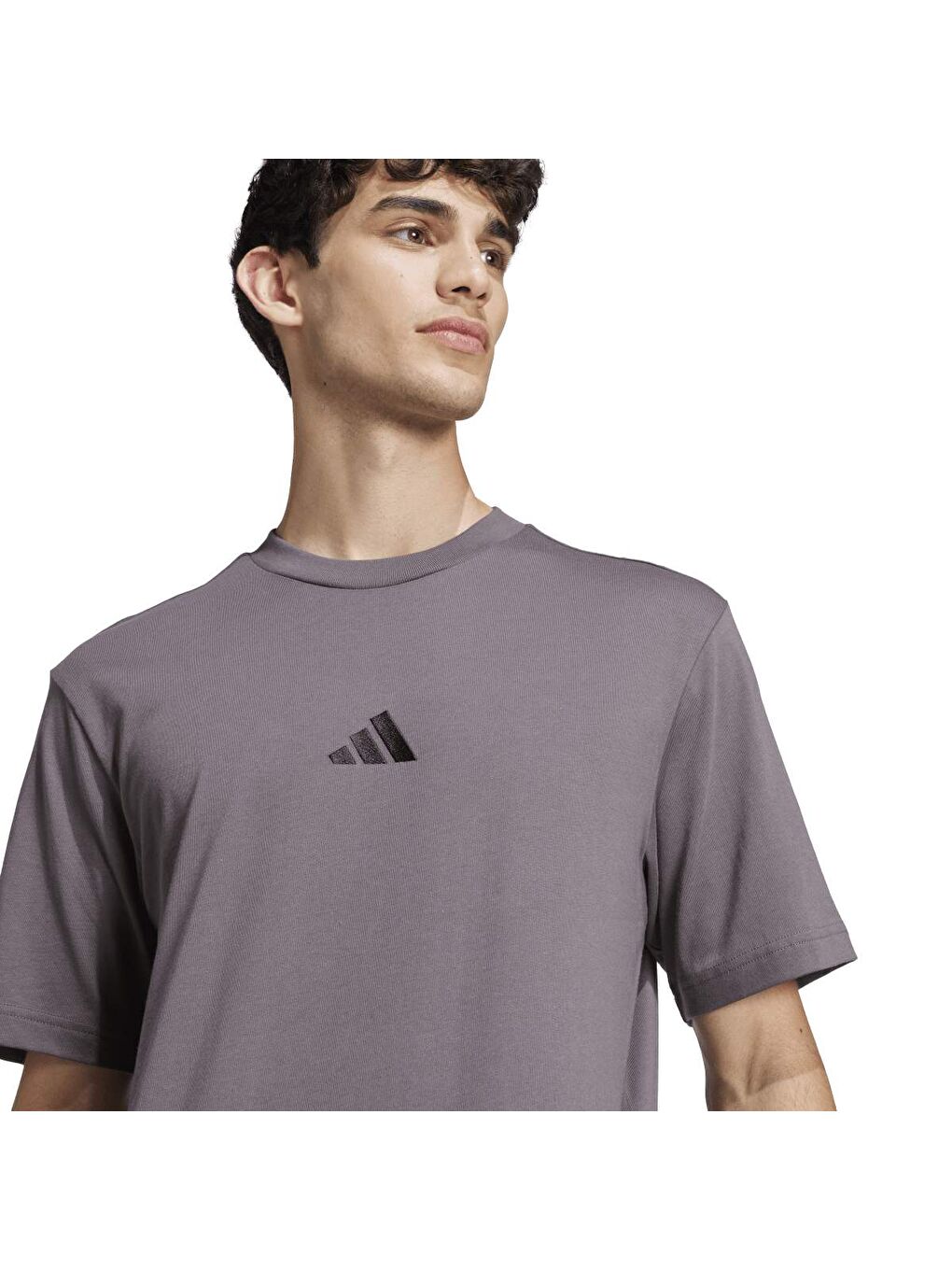 Small Logo Sj Erkek Gri Yuvarlak Yaka Spor Tişört-3